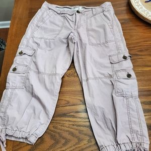 loft Capri pants